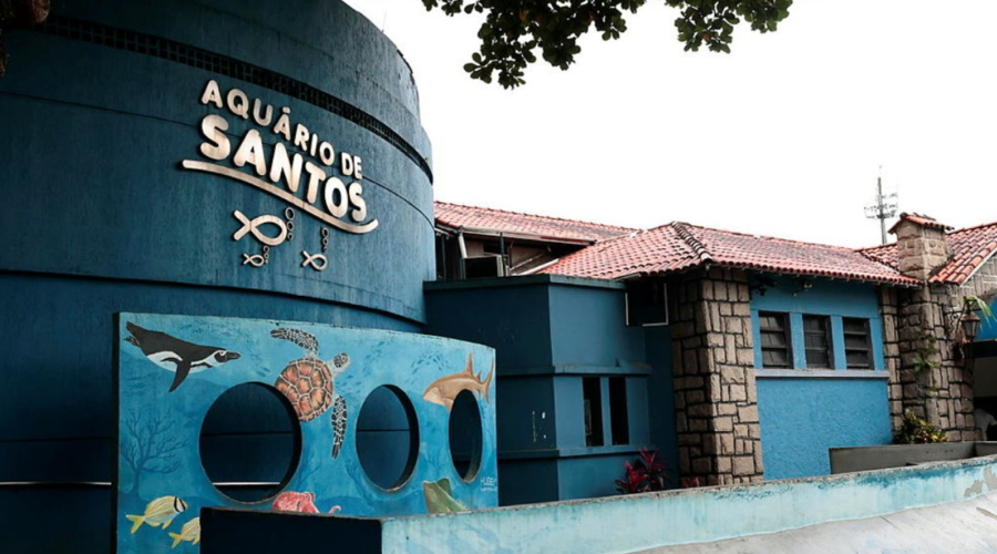 Aquário de Santos será entregue até dezembro após acordos de mais de R$ 9 milhões; entenda