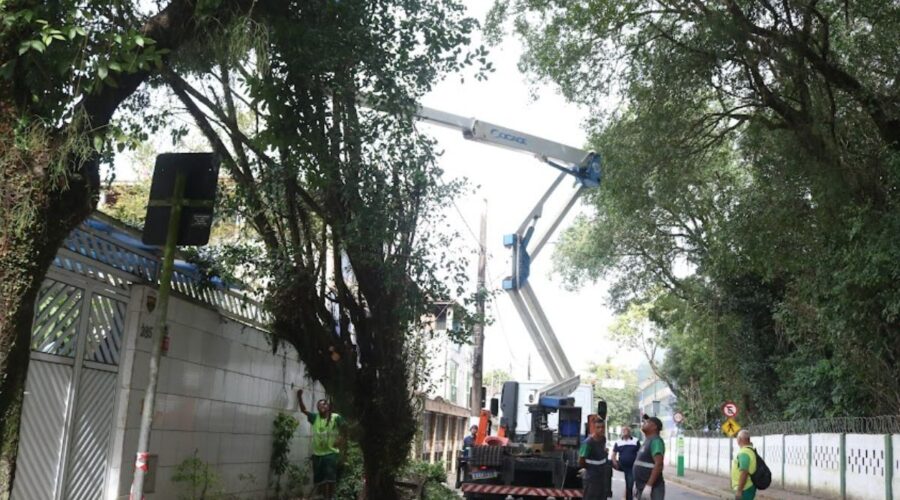 Reparos e limpeza nas ruas após vendaval devem continuar até domingo em Santos, SP