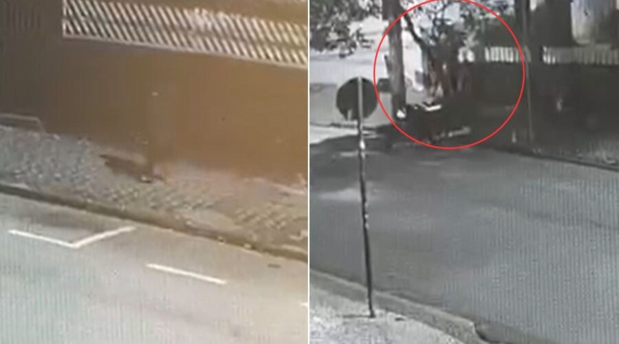Vídeo mostra ataque de homem que matou a ex a facadas no litoral de SP; VEJA
