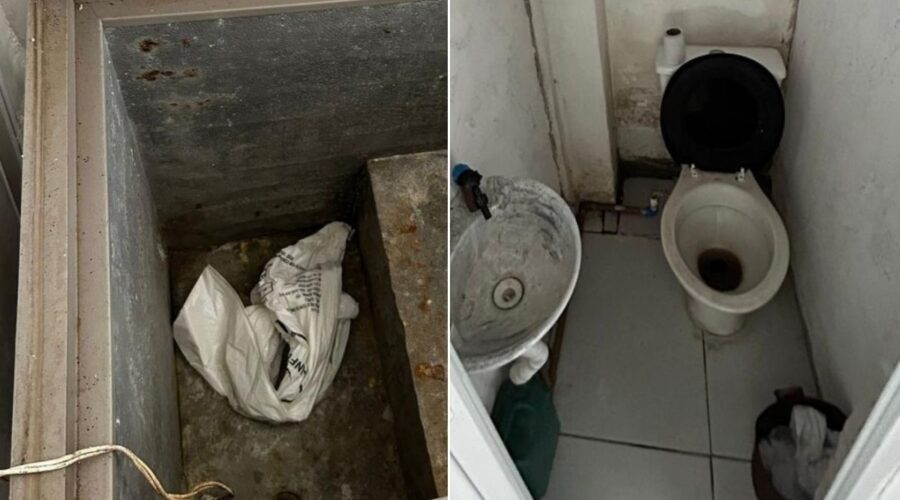 Clínica veterinária com alvará falso é fechada após denúncia de morte de cachorro no litoral de SP