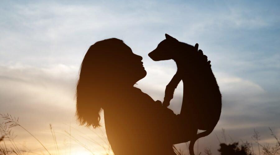Mongaguá, SP, regulamenta crematórios para animais de estimação; veja as regras 