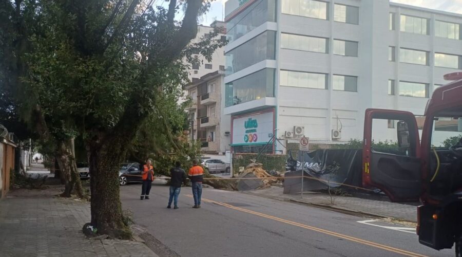 Reflexo de ciclone bomba, ventania chega a 109 km/h no litoral de SP e causa destruição