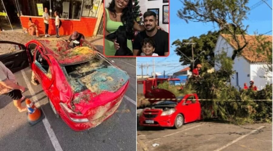 Carro esmagado por árvore com homem e criança deu 'perda total' e era usado no trabalho da família; entenda