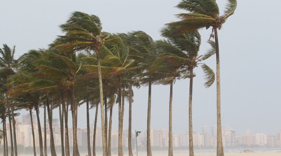 Ciclone bomba deve causar ventania de até 100 km/h no litoral de SP, alerta Defesa Civil