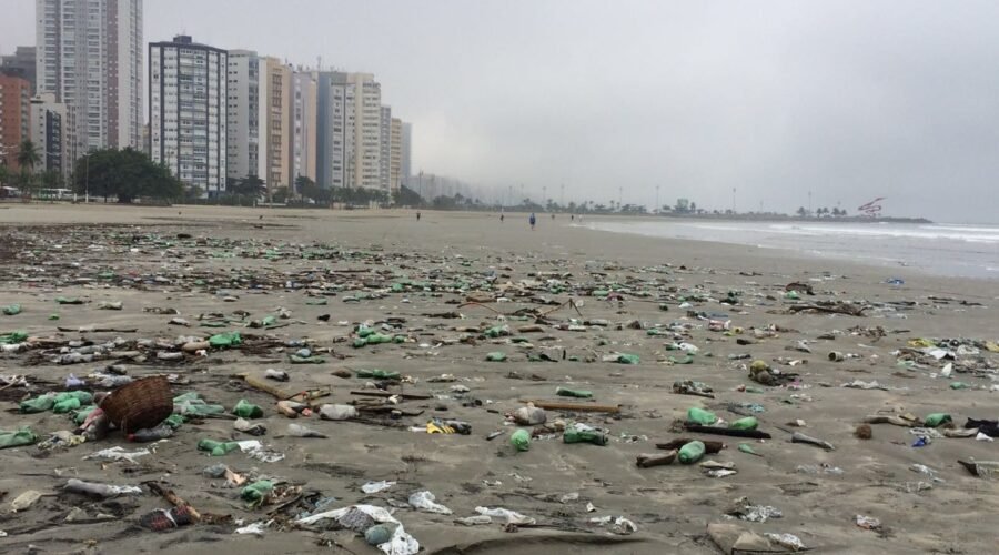 Sete toneladas de recicláveis são recolhidos nas praias de São Vicente no 1º semestre de 2026