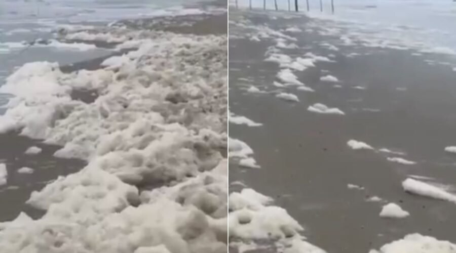 Espuma cobre faixa de areia e mar em praia do litoral de SP; entenda o fenômeno