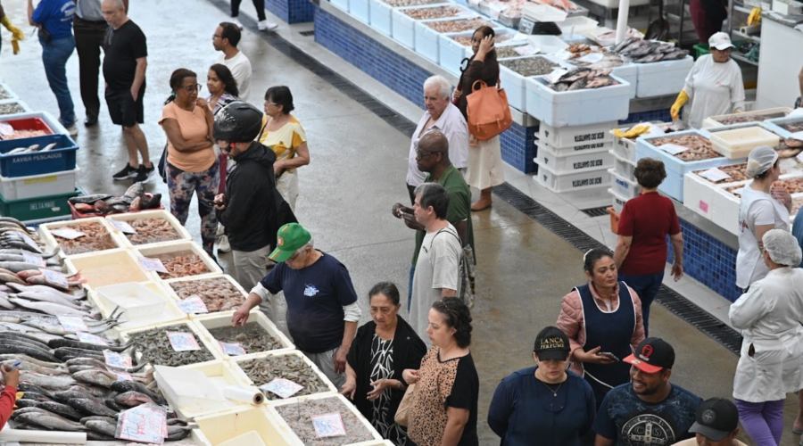 Tilápia a R$ 15,99: festival em Santos vende peixe com preço 30% menor