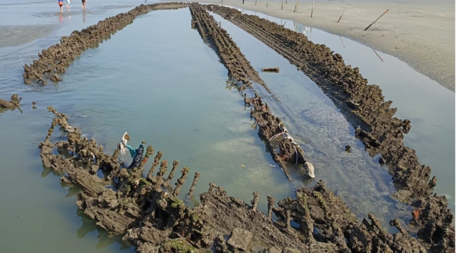 Mar recua no litoral de SP e volta mostrar detalhes dos destroços de navio encalhado há 130 anos; veja