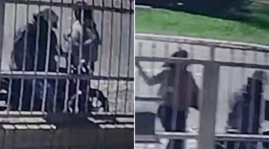 Vídeo mostra mulher caindo sozinha durante briga com companheiro; morte é investigada