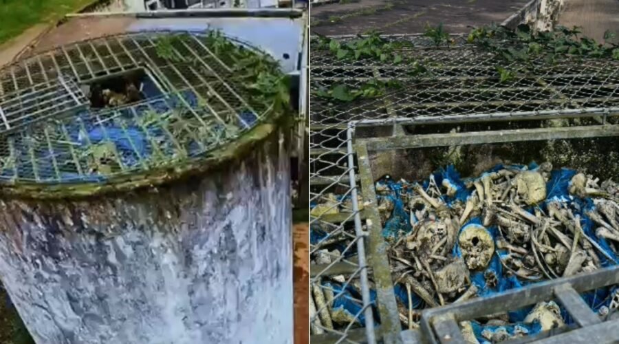 Ossadas humanas ficam expostas em torre de cemitério no litoral de SP; VÍDEO